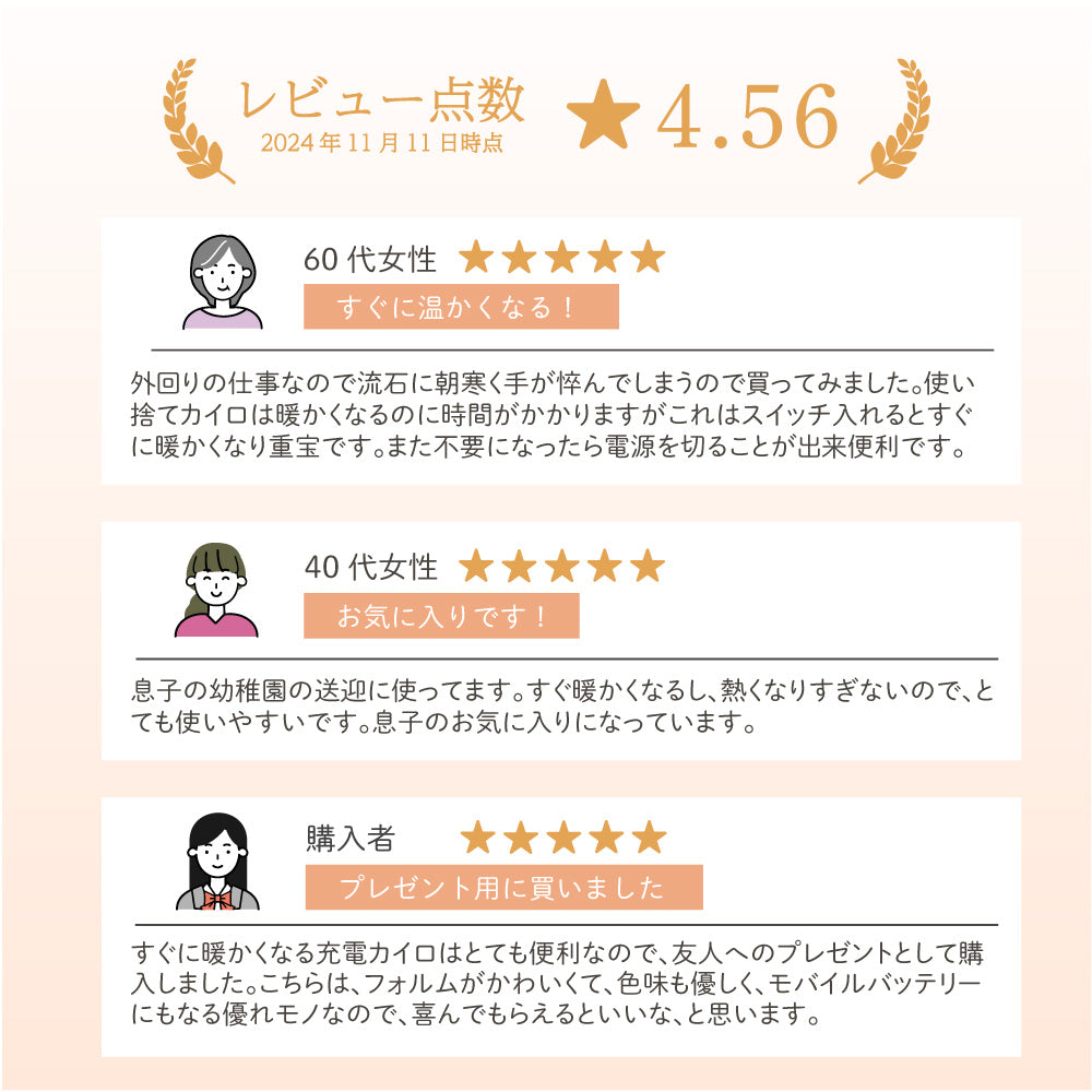 充電式カイロ｜温度調節付き