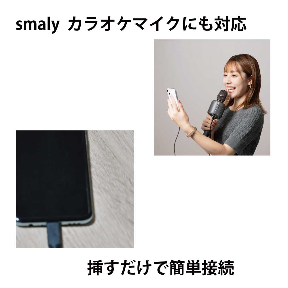 音声変換ケーブル USB Type-C・Lightning