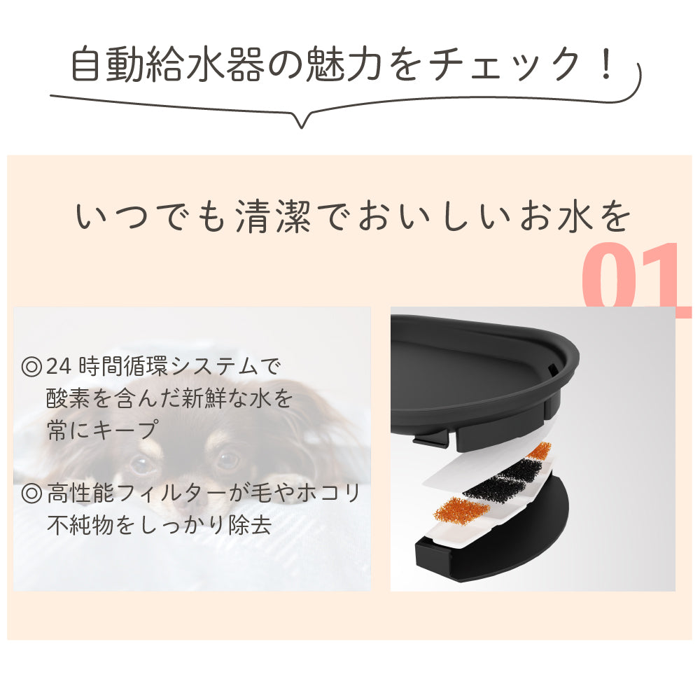 【ペット用】 自動給餌器＆給水器