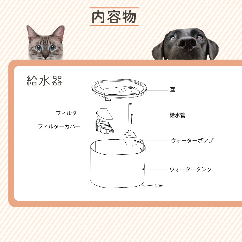 【ペット用】 自動給餌器＆給水器